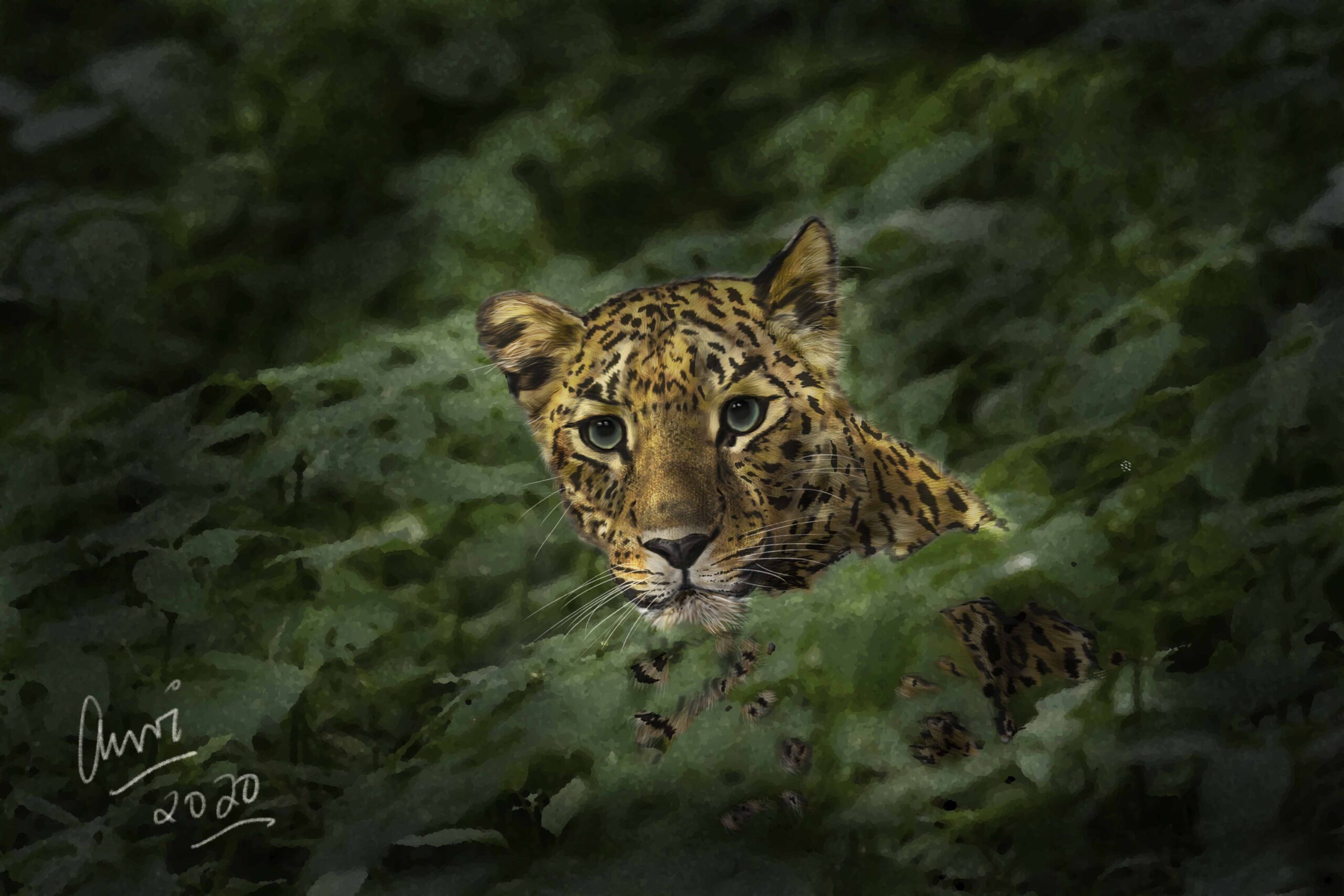 leopard, Jhalana,